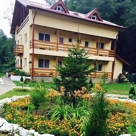 Pensiunea La Padure Cheia, Prahova Ξενοδοχείο Măneciu Εξωτερικό φωτογραφία
