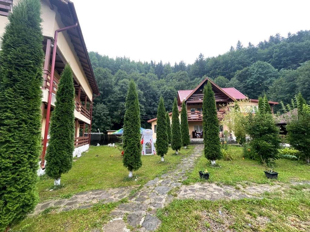 Pensiunea La Padure Cheia, Prahova Ξενοδοχείο Măneciu Εξωτερικό φωτογραφία