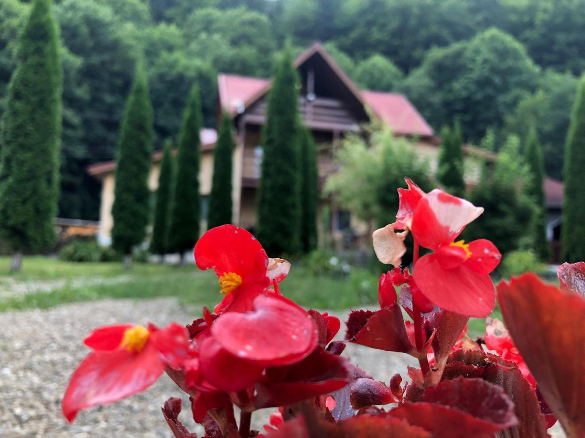 Pensiunea La Padure Cheia, Prahova Ξενοδοχείο Măneciu Εξωτερικό φωτογραφία