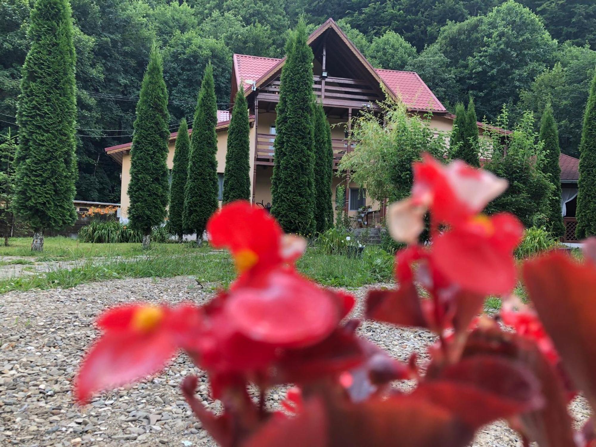 Pensiunea La Padure Cheia, Prahova Ξενοδοχείο Măneciu Εξωτερικό φωτογραφία